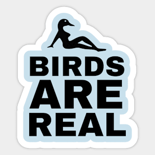 Birds Are Real. Sticker